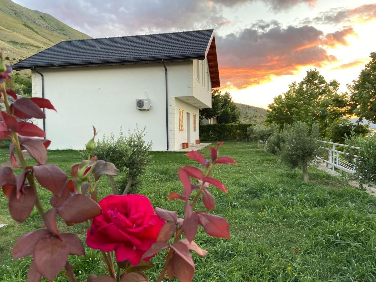 Xhuli Guesthouse Shkodër Exterior foto